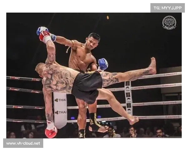 2018播求赛事、播求2006k1比赛视频